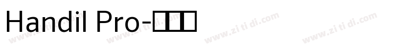 Handil Pro字体转换